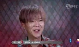 圈内人爆料鹿晗恋情,揭秘娱乐圈新恋情背后的故事